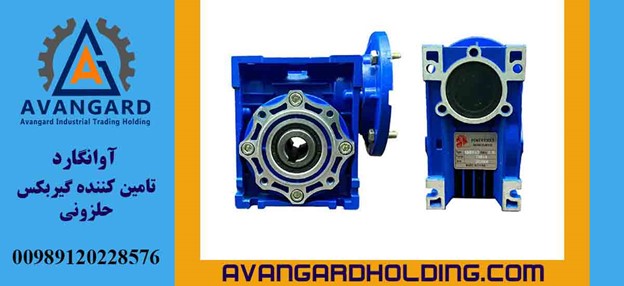 Avangard Worm Industrial Gearbox