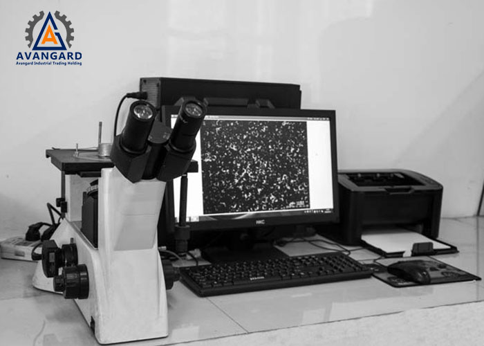 Metallographic Examination of Cast Iron and Its Role in Microstructural Analysis of Alloys
